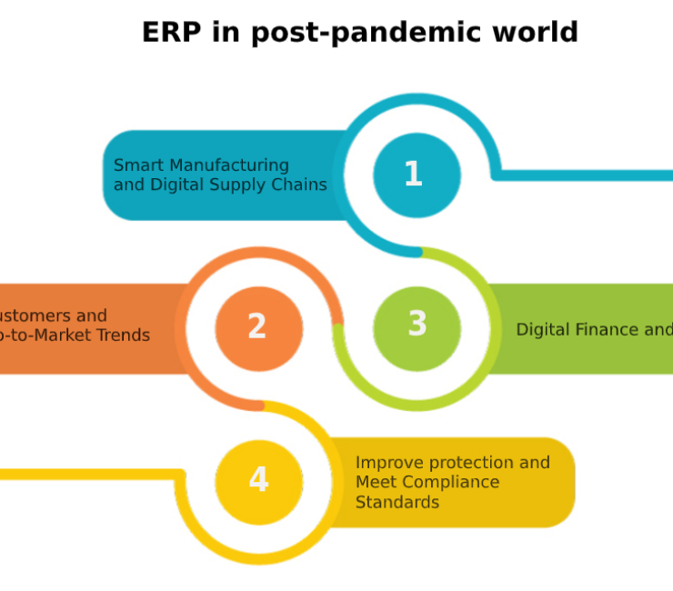 Navigating the Post-Pandemic Economy with ERP Software