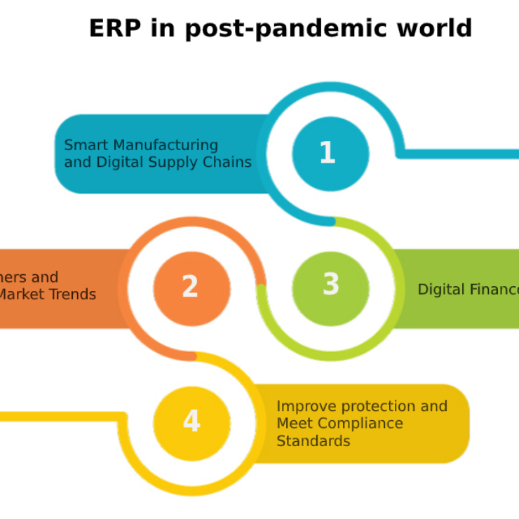 Navigating the Post-Pandemic Economy with ERP Software