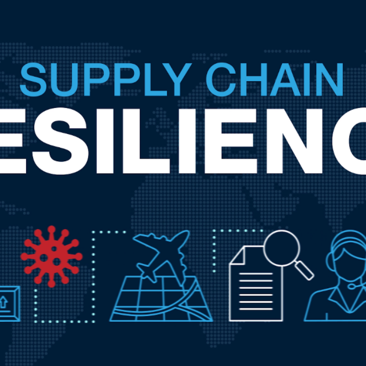 Supply Chain Disruptions and ERP: Strategies for Resilience