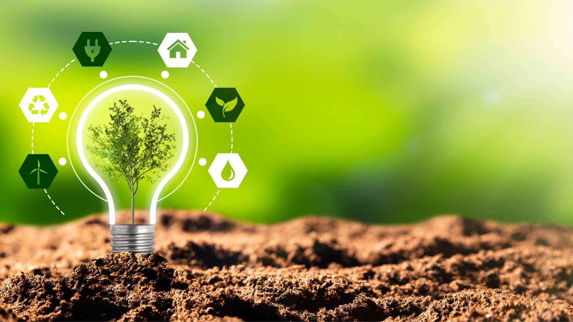 OpenScope ERP: Greening Business for Sustainability